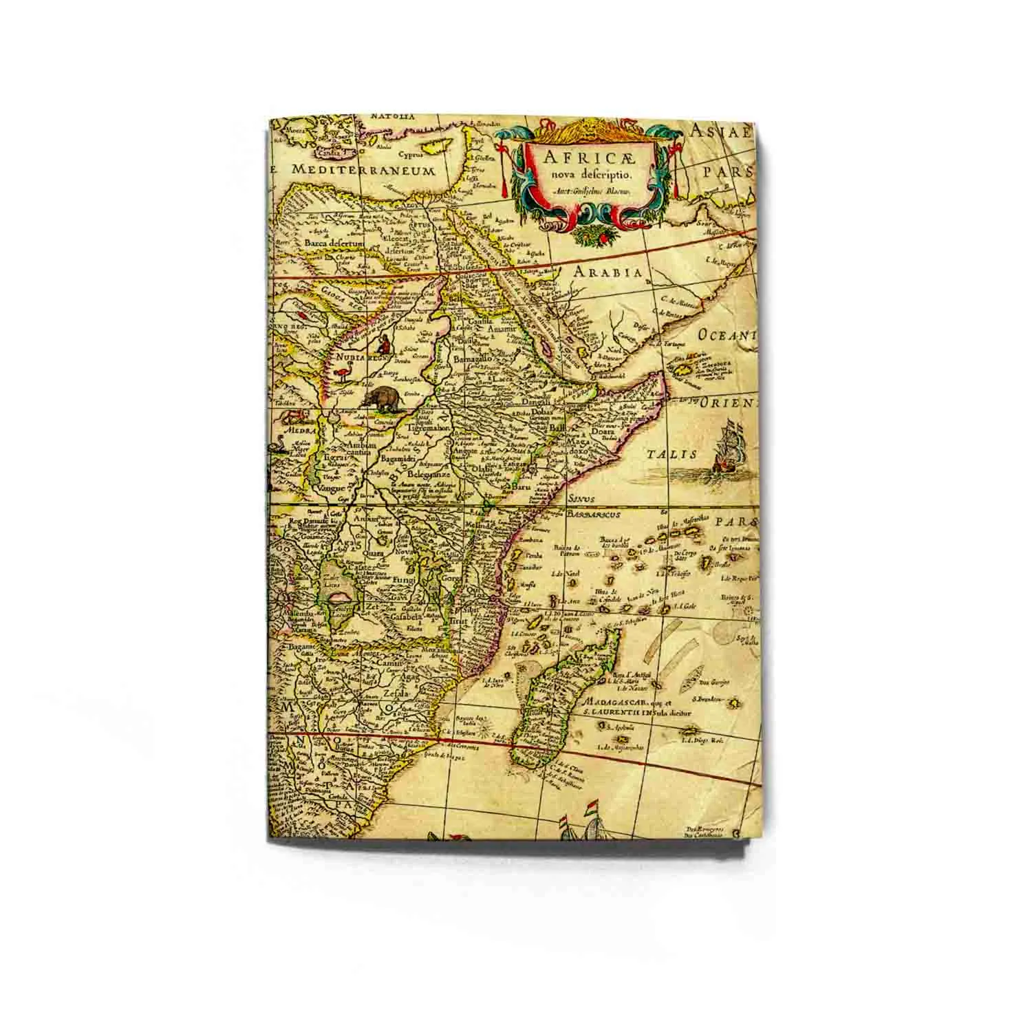 [4032] dot Africa map A5